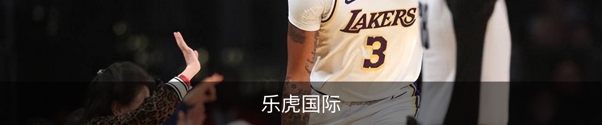 乐虎国际