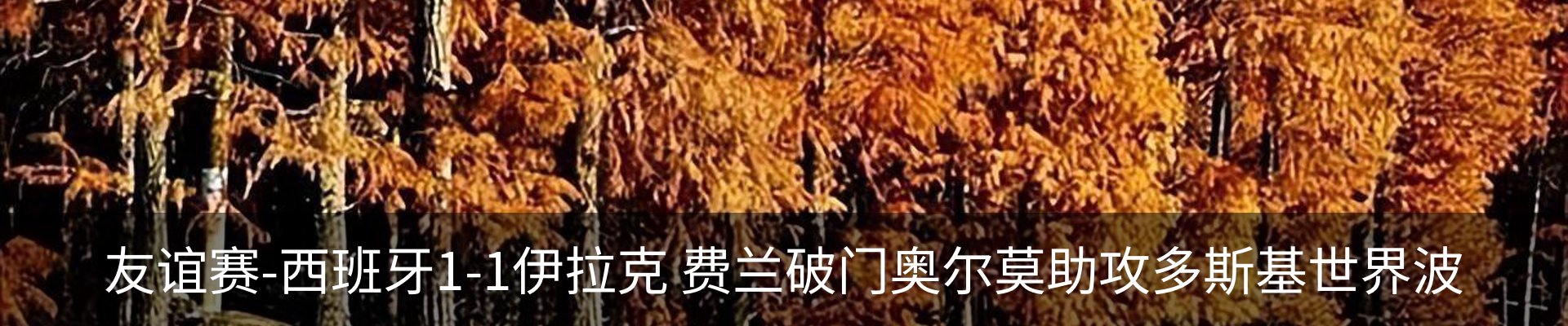内页banner